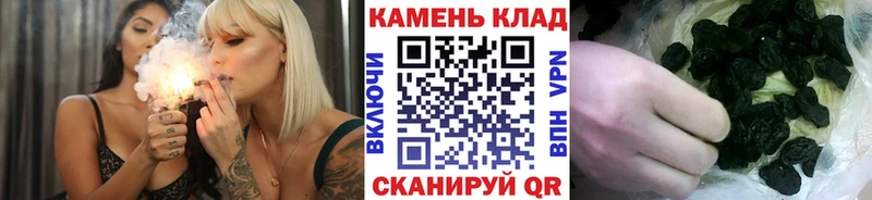 ГАШИШ Ice-O-Lator  Пересвет 