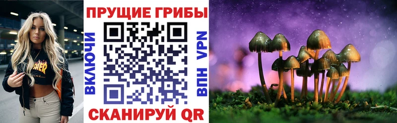 Псилоцибиновые грибы мухоморы  как найти закладки  Пересвет 